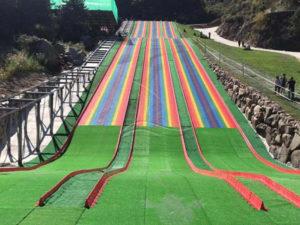 Wave Rainbow Dry Snow Slope Slide (1)