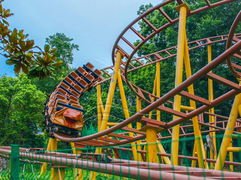 family roller coaster (2) | Carnival Rides